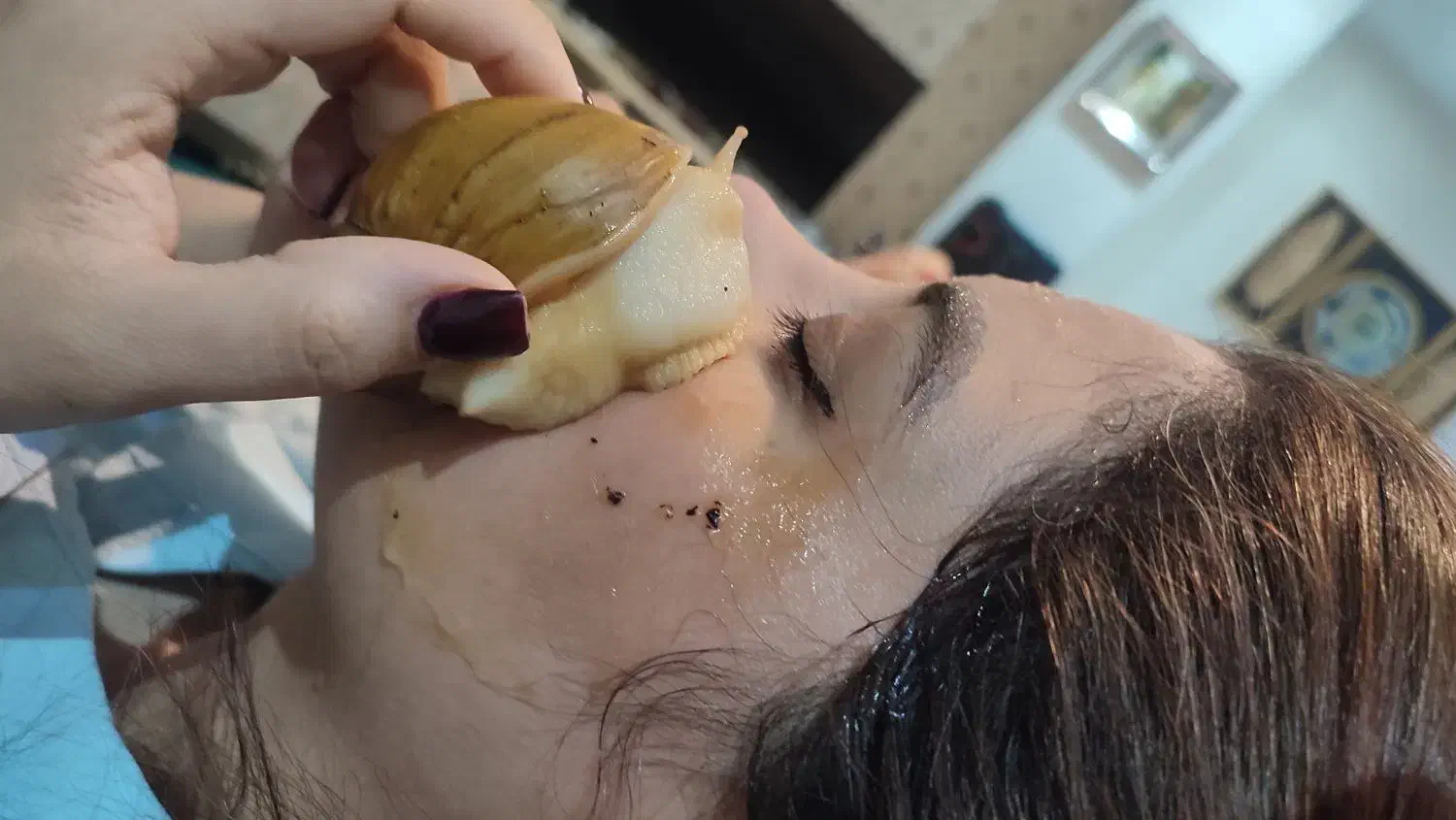 فروش حلزون|خزنده|اهواز, نادری|دیوار