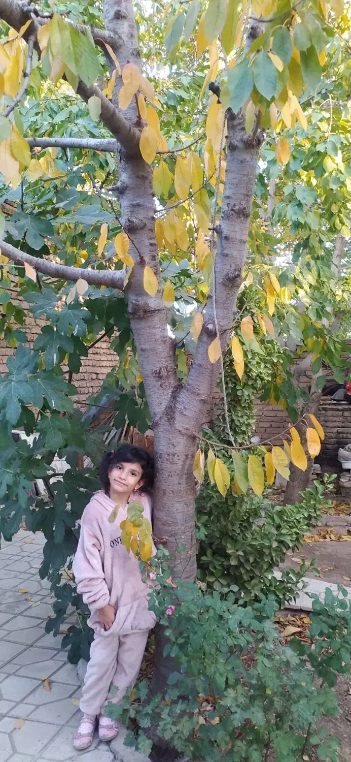 فروش خونه ویلایی|فروش خانه و ویلا|ابهر, |دیوار