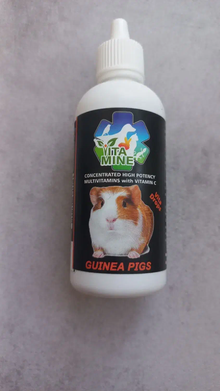 ملزومات خوکچه هندی|لوازم جانبی حیوانات|مشهد, فرهنگ|دیوار