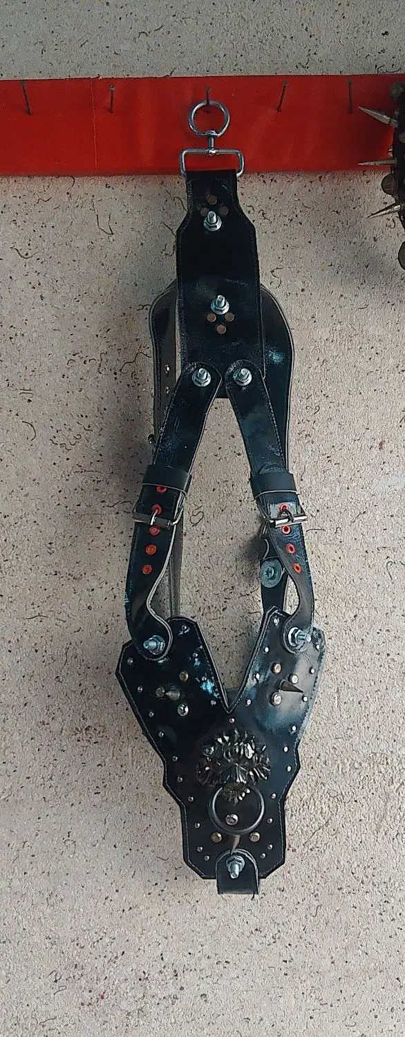 سینه بندچرم1100|کوهنوردی و کمپینگ|مشهد, چهنو|دیوار