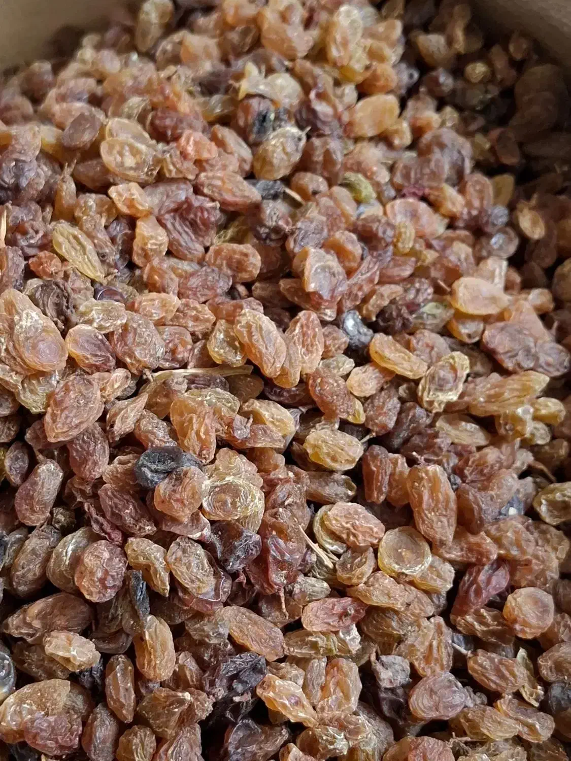 کمشمش خوراکی درجه۱|خوردنی و آشامیدنی|نیشابور, دربقاضی|دیوار