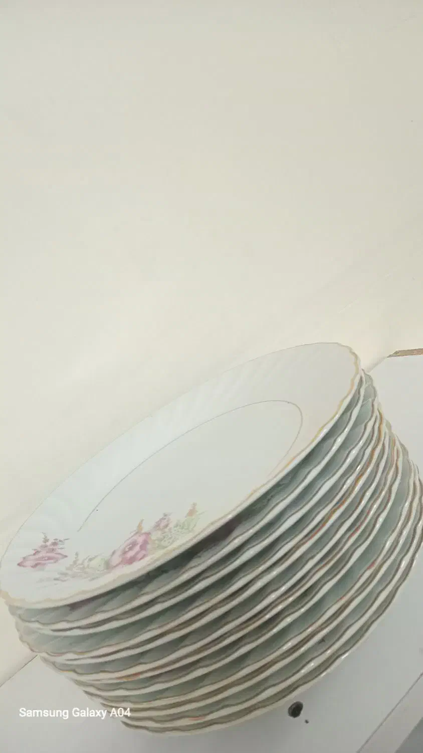 ۱۲ عدد بشقاب چینی گل صورتی|ظروف سرو و پذیرایی|فولادشهر, A3|دیوار