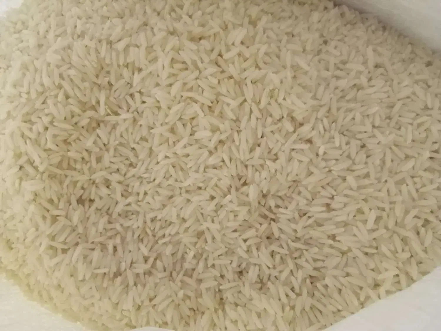 برنج  هاشمی ممتاز عطری محصول امسال زمین خودم|خوردنی و آشامیدنی|تهران, خزانه|دیوار