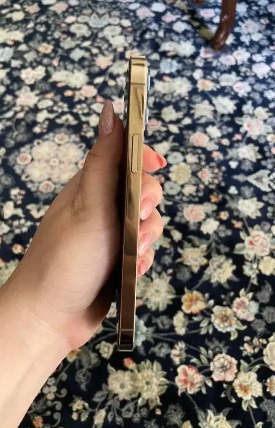 گوشی ایفون|موبایل|شهریار, شهریار|دیوار