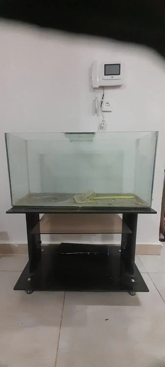 آکواریوم|ماهی|دزفول, |دیوار