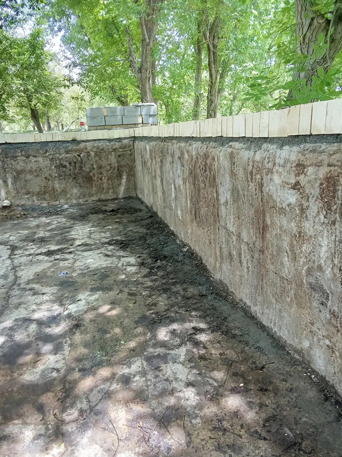 کود سفید|گل و گیاه طبیعی|نهاوند, |دیوار