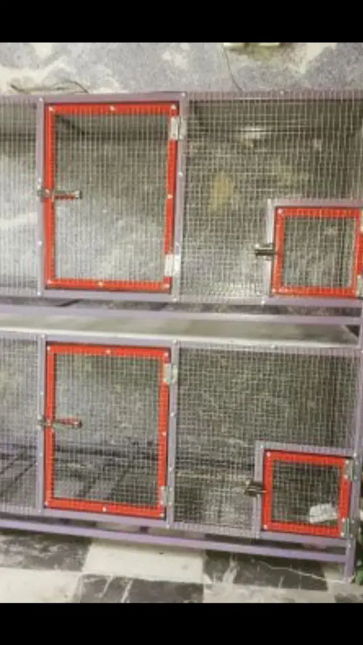 قفس سازی امید|لوازم جانبی حیوانات|خمینیشهر, |دیوار