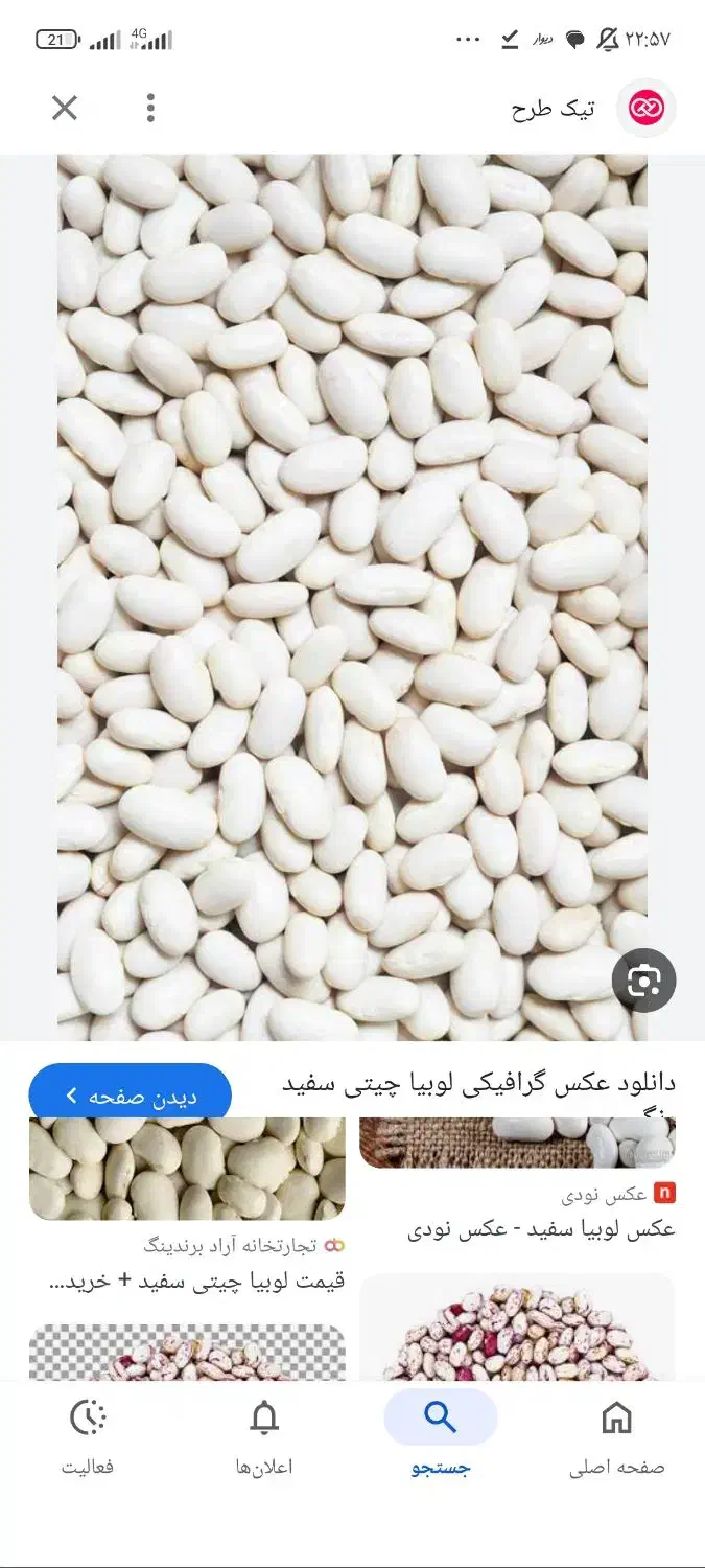 لوبیا سفید|خوردنی و آشامیدنی|قلقل رود, |دیوار