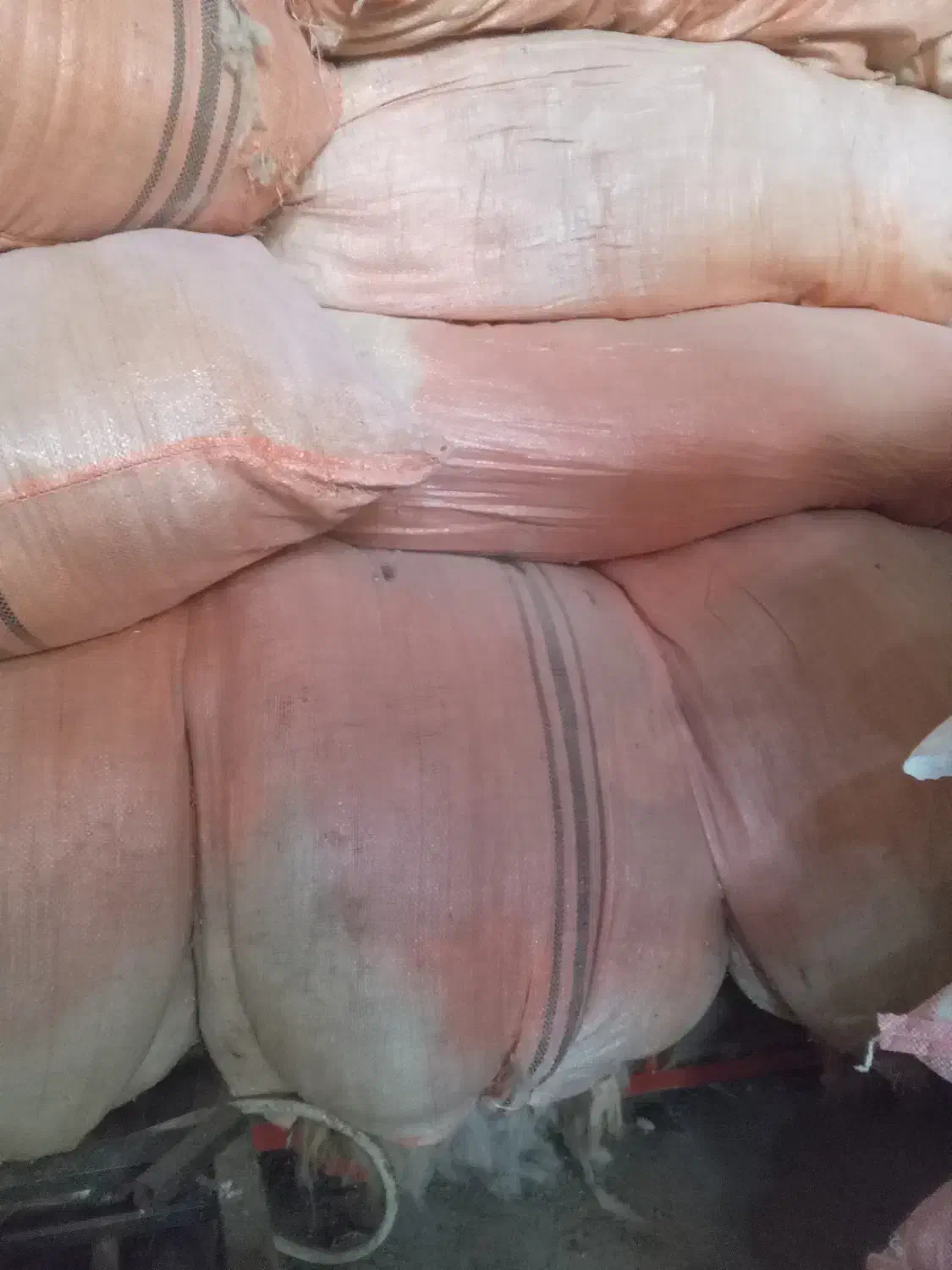 پشم گوسفند|لوازم جانبی حیوانات|نمین, |دیوار