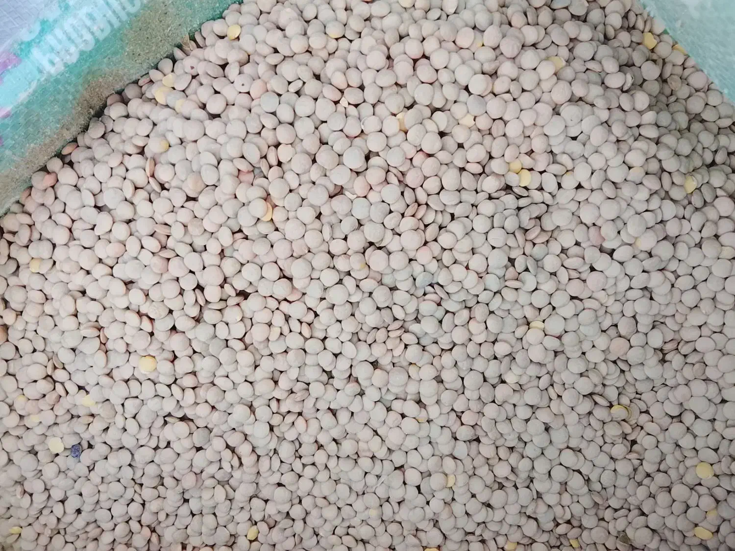 خوشکبار|حراج|شیراز, امام حسین|دیوار