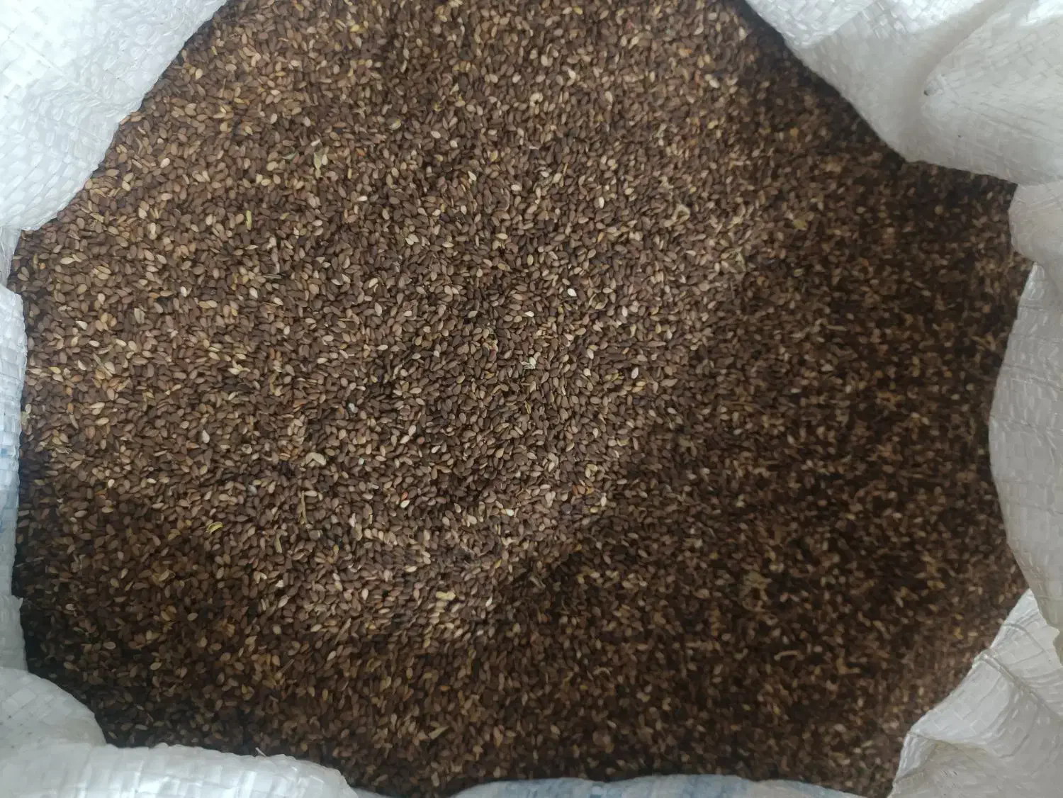 کنجد|خوردنی و آشامیدنی|چگنی, |دیوار