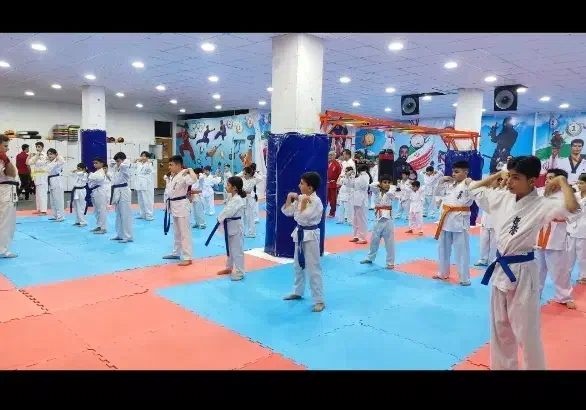 منشی باشگاه|استخدام اداری و مدیریت|شیراز, هفت تنان|دیوار