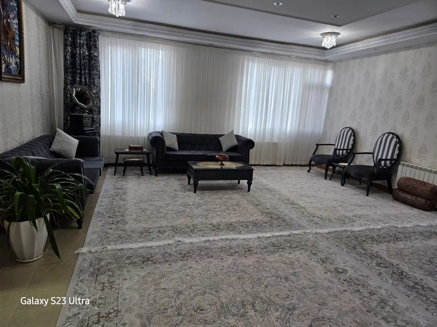 فرش و مبل و میز تلویزیون|فرش|سنندج, |دیوار