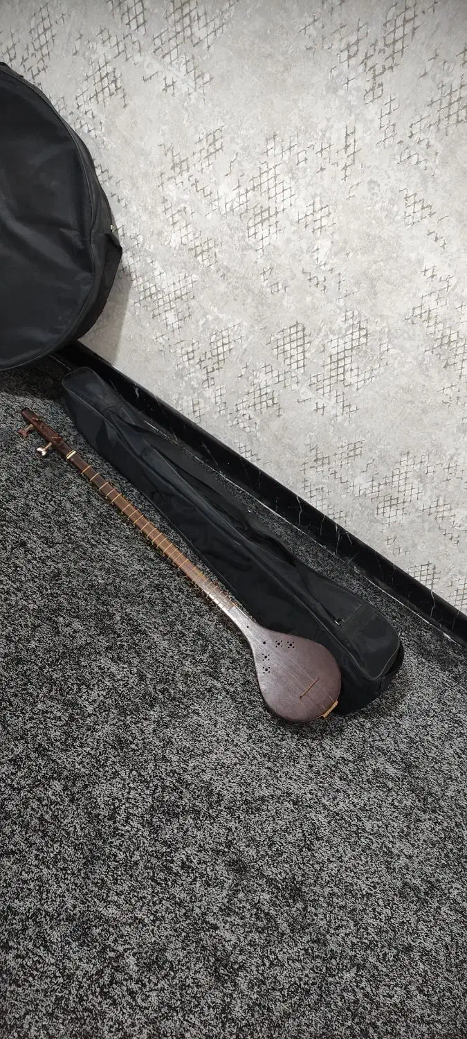 ستار|سازهای سنتی|اصفهان, هزارجریب|دیوار