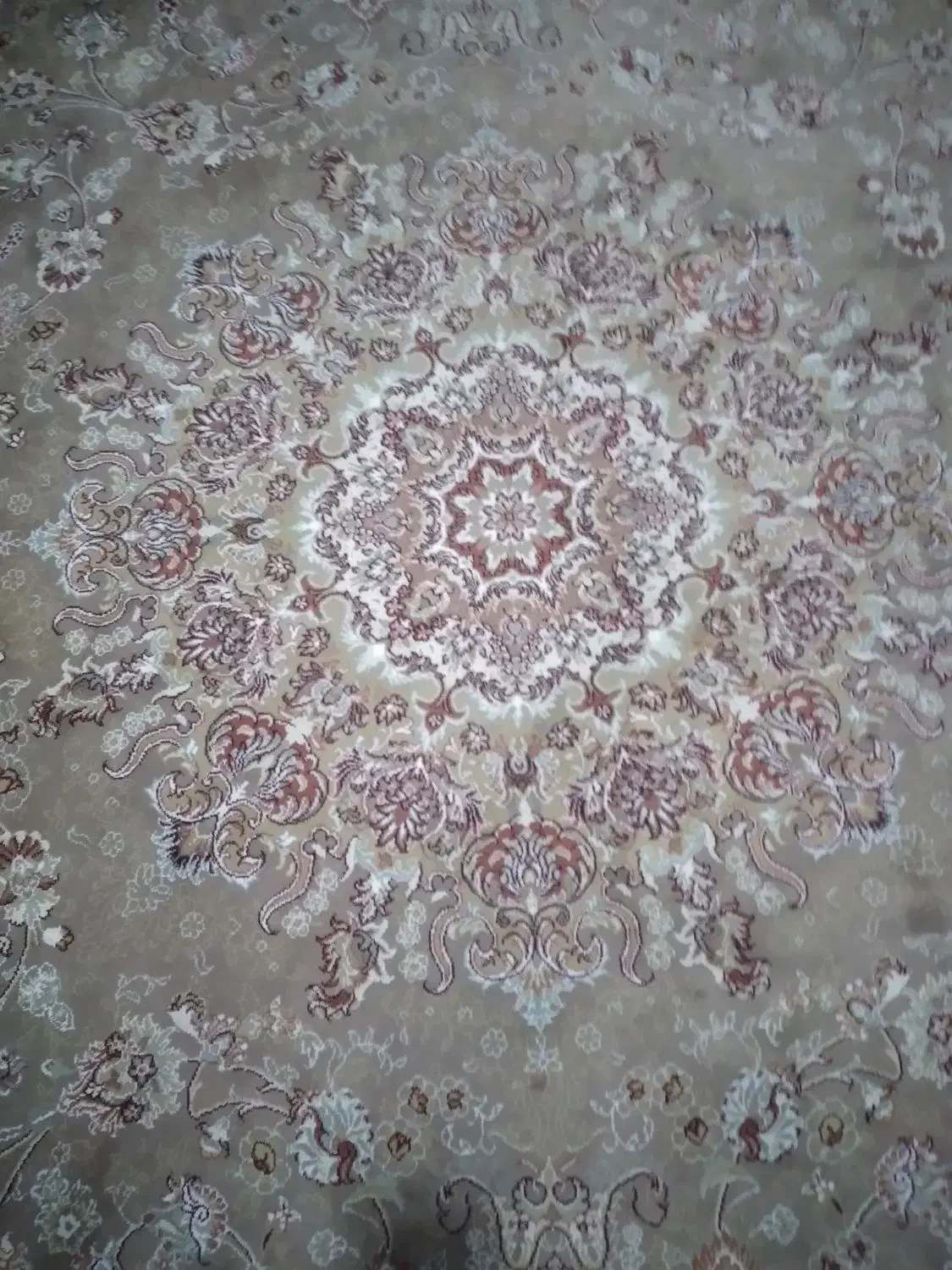 فرش ۶ و ۹ متری|فرش|سبزوار, قصبه غربی|دیوار