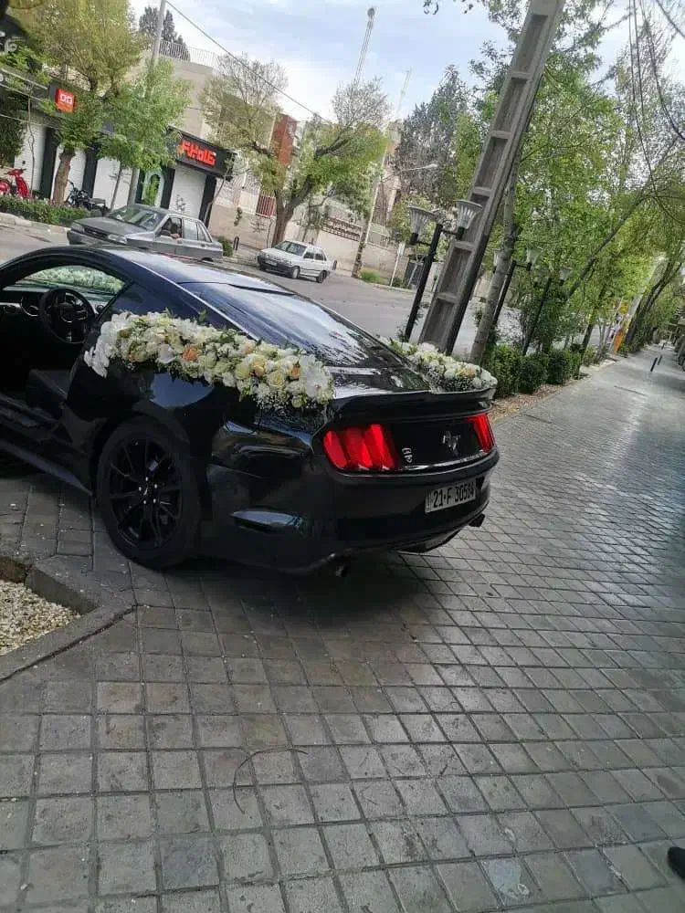 اجاره موستانگ/اجاره ماشین عروس/کرایه ماشین عروس|خودرو اجاره‌ای|اصفهان, باغ زیار|دیوار