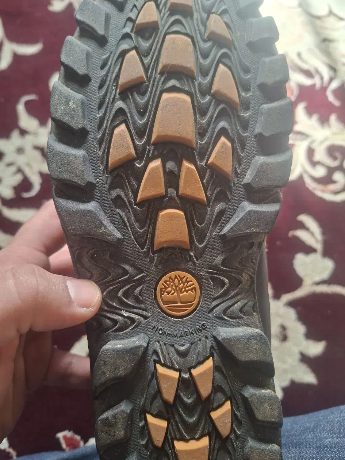 کفش تیمبرلند دیگه همه چیز واضحه|کیف، کفش، کمربند|الوند, |دیوار