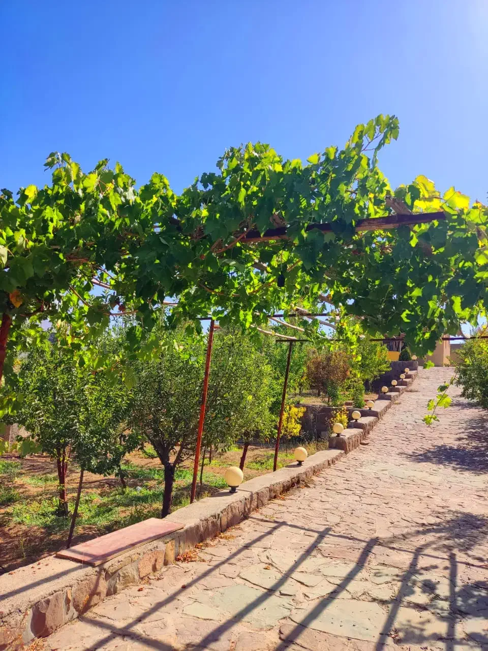 ویلا ۱۰۰۰ متر باغ ۸۵ م بنا قیمت زمینش وادان دماوند|فروش خانه و ویلا|دماوند, دماوند|دیوار