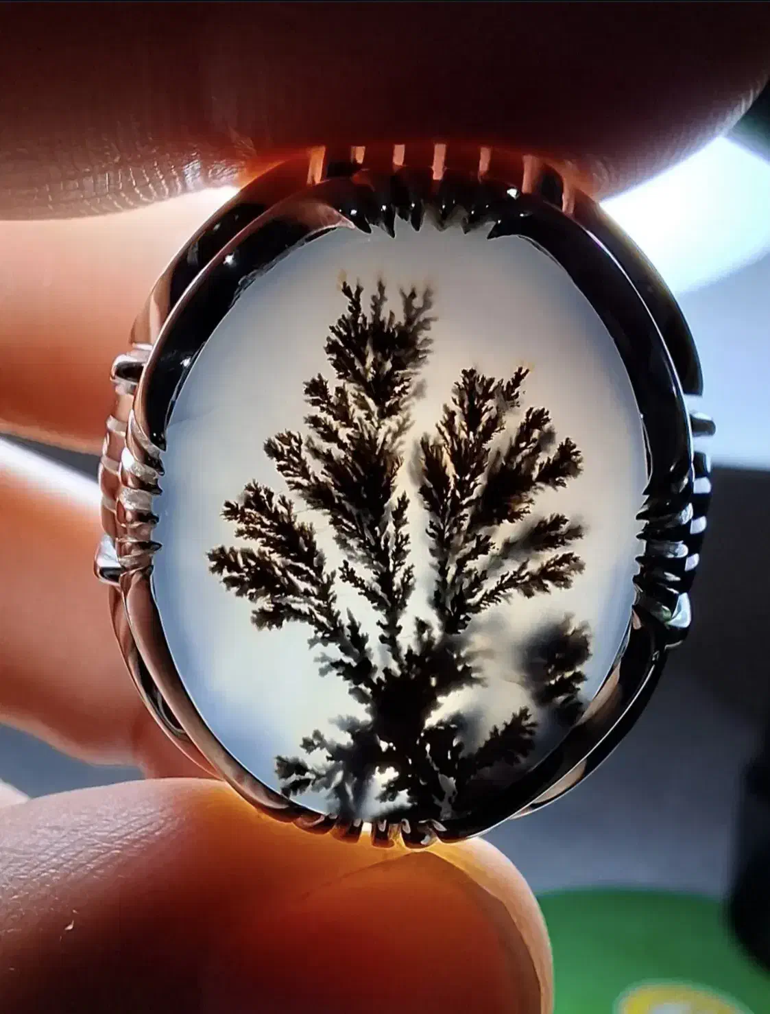 انگشتر هایه نقره شجر مهردار|جواهرات|تهران, باغ فیض|دیوار