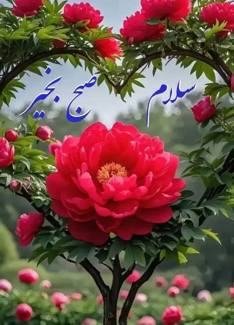 پرستار سالمند مادر|استخدام درمانی، زیبایی، بهداشتی|یزد, |دیوار