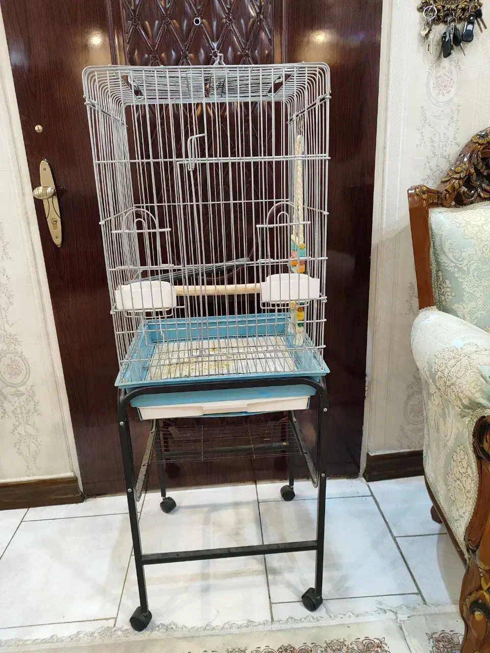 قفس پرنده میله ها محکم در حد نو|لوازم جانبی حیوانات|ری, شهید غیوری (ابن باویه)|دیوار