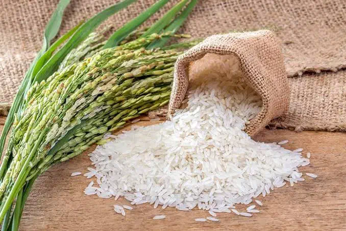 برنج هاشمی درجه یک|خوردنی و آشامیدنی|ماسال, |دیوار