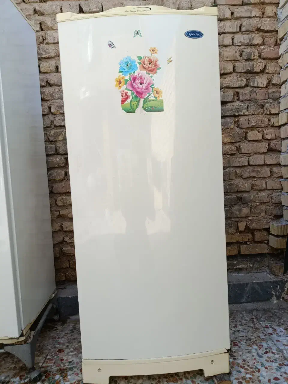 یک عدد یخچال و یک عدد فریزر|یخچال و فریزر|مرودشت, ژیان|دیوار