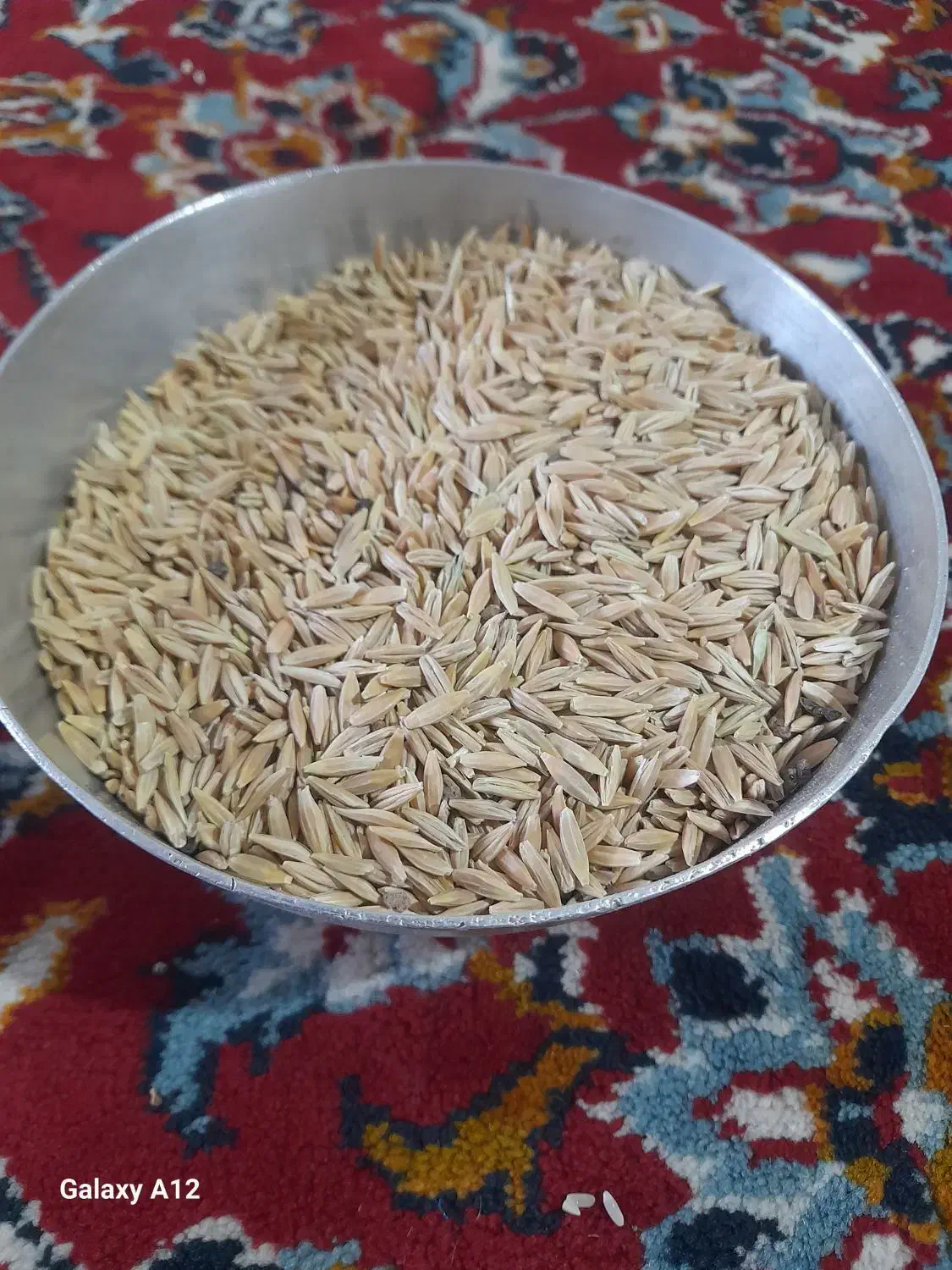 جو دیمی|عمده‌فروشی|لردگان, |دیوار