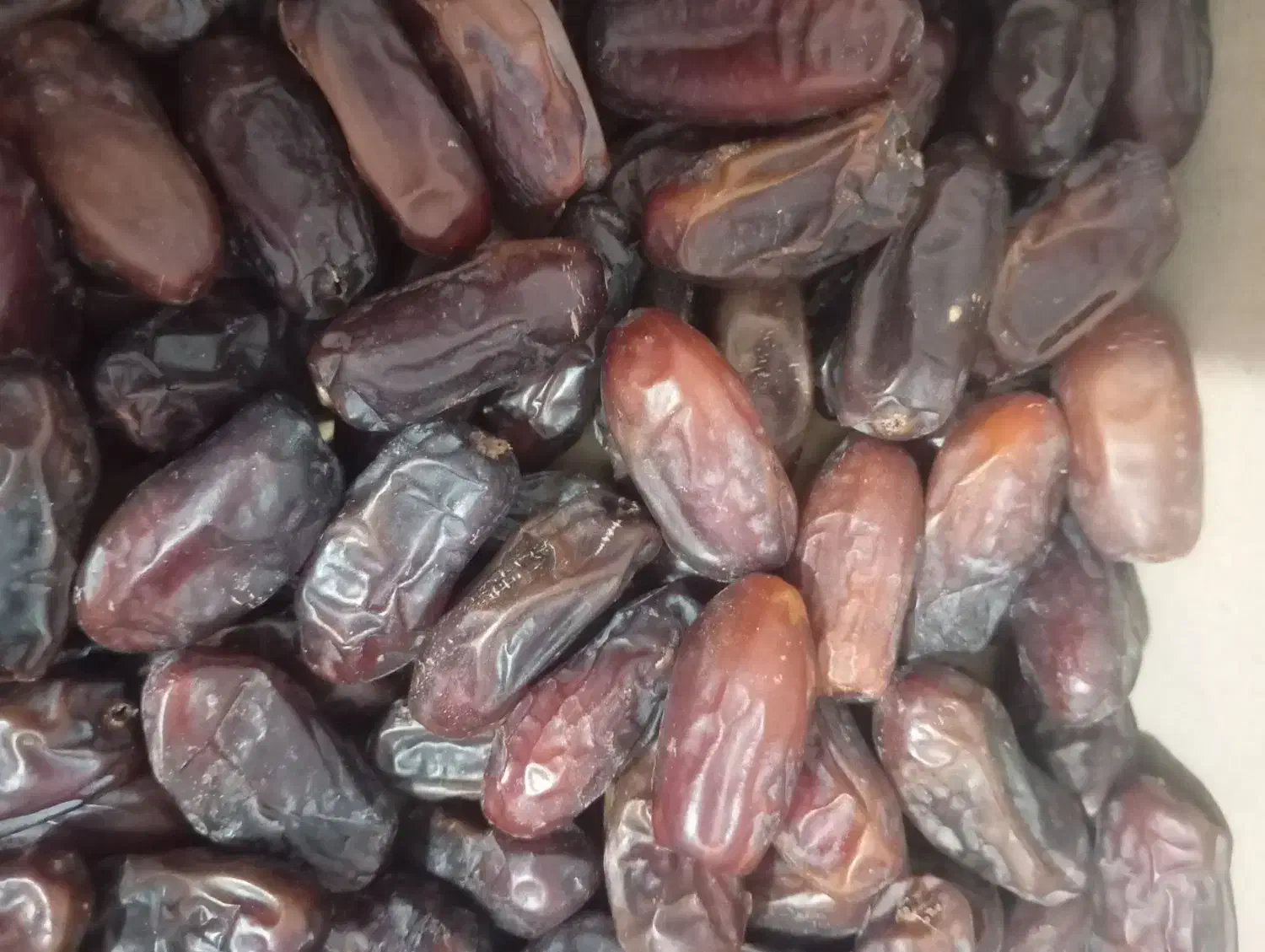 خرما ربی فله ای|خوردنی و آشامیدنی|خاش, |دیوار