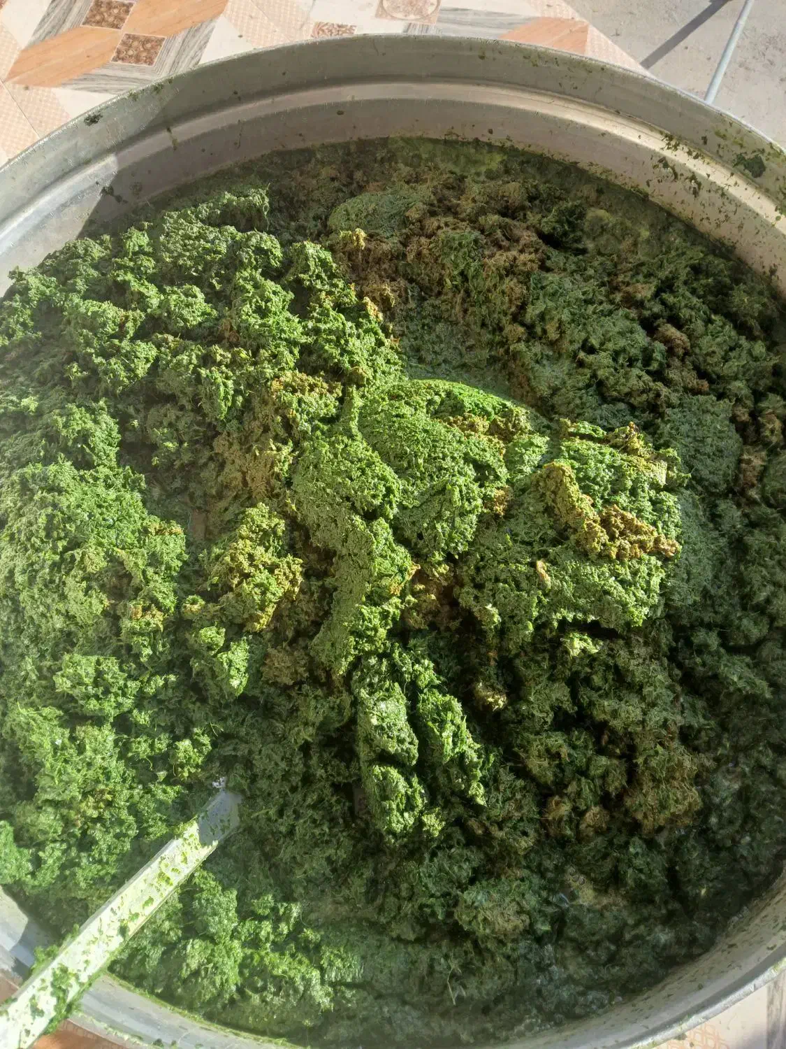 سبزی خورشتی آماده|خوردنی و آشامیدنی|اهواز, سپیدار|دیوار