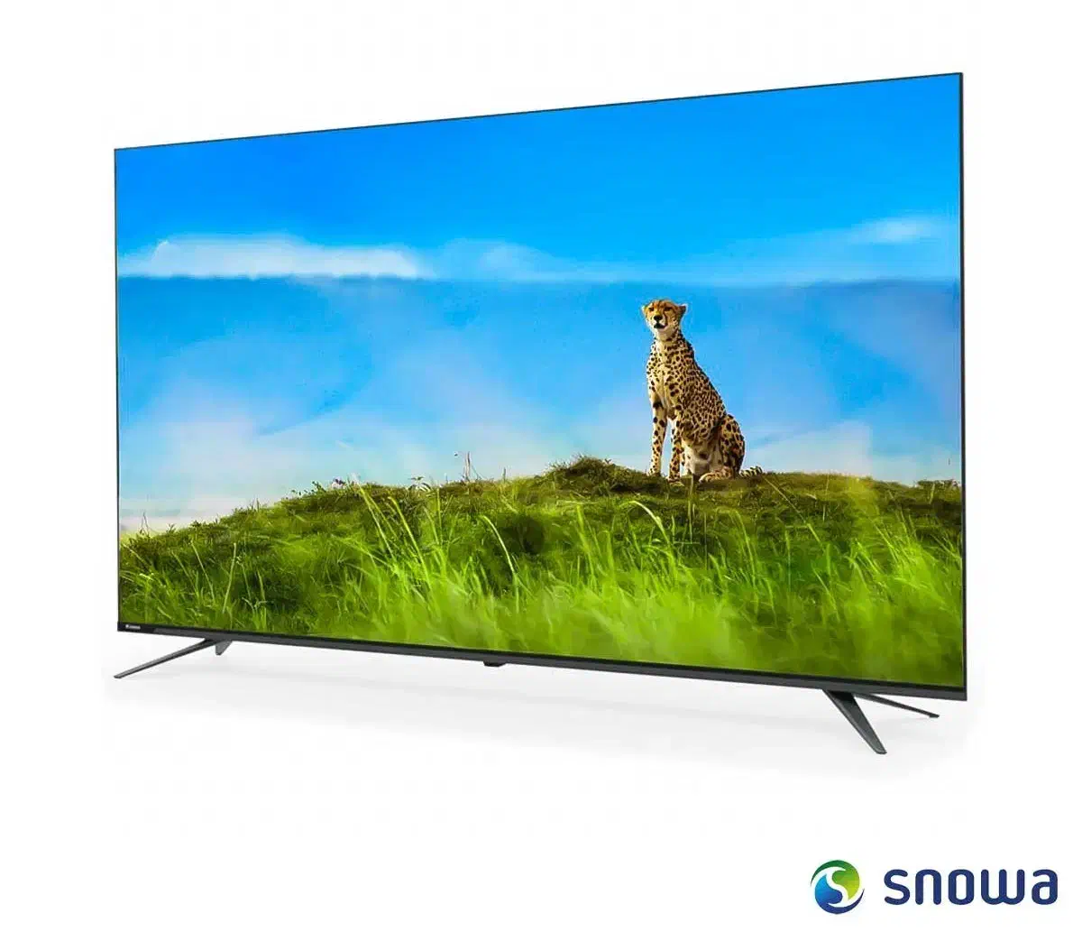 تلویزیون|تلویزیون و پروژکتور|اهواز, شهرک دانشگاه|دیوار