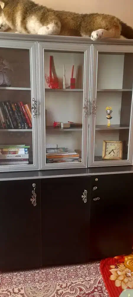 کمد دو طبقه|جاکفشی، کمد، دراور|سهند, |دیوار