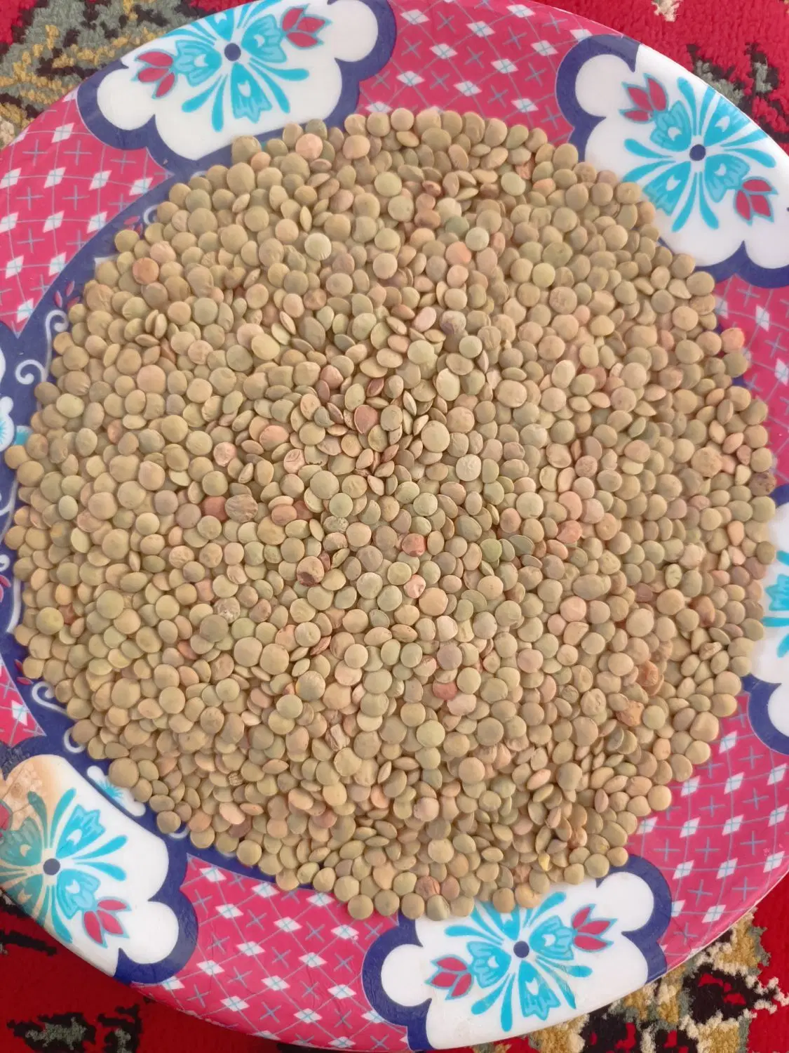 عدس|خوردنی و آشامیدنی|گرمی, |دیوار