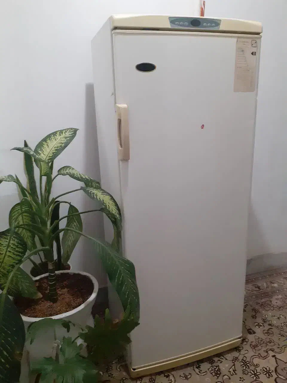 یخچال ارج|یخچال و فریزر|مشهد, فتح المبین|دیوار