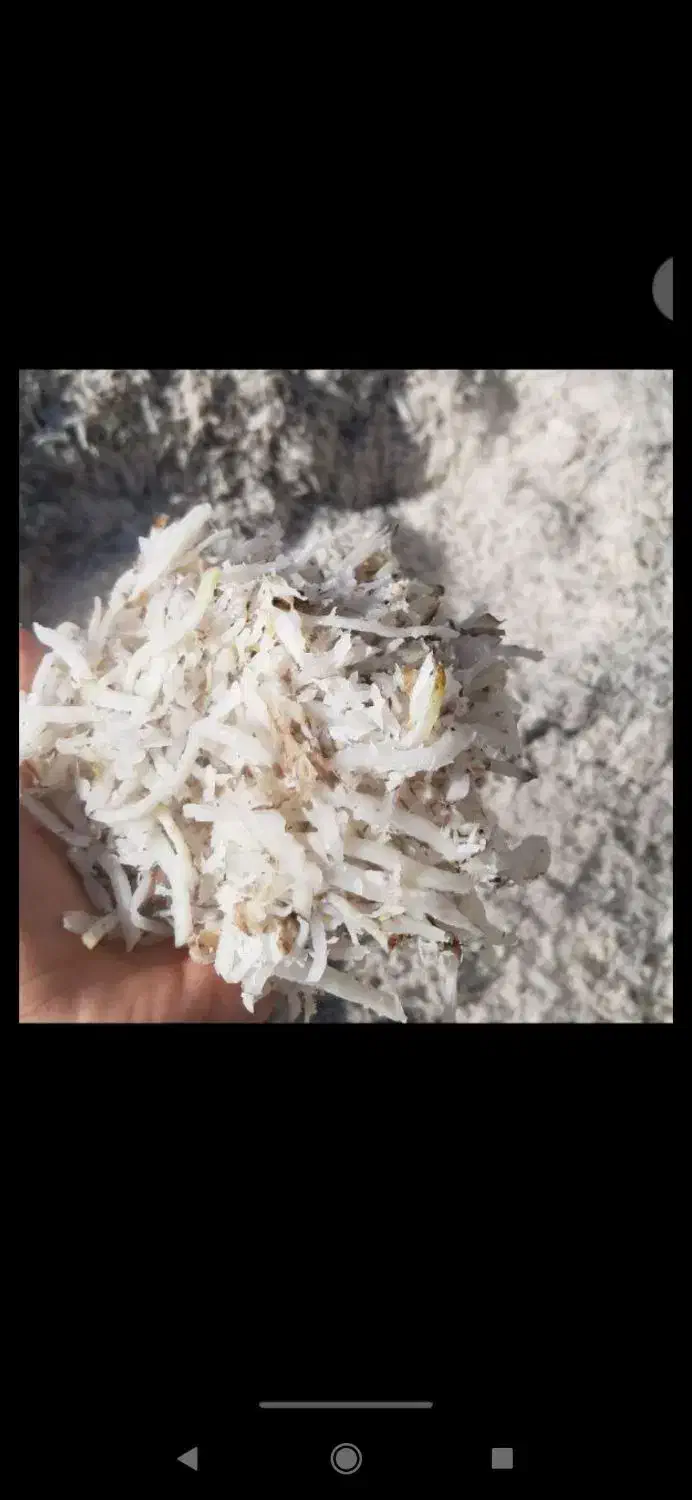 تفاله چغندر قند|عمدهفروشی|چهاربرج, |دیوار