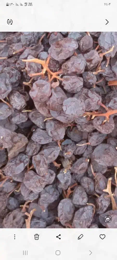 مویز|خوردنی و آشامیدنی|داراب, |دیوار