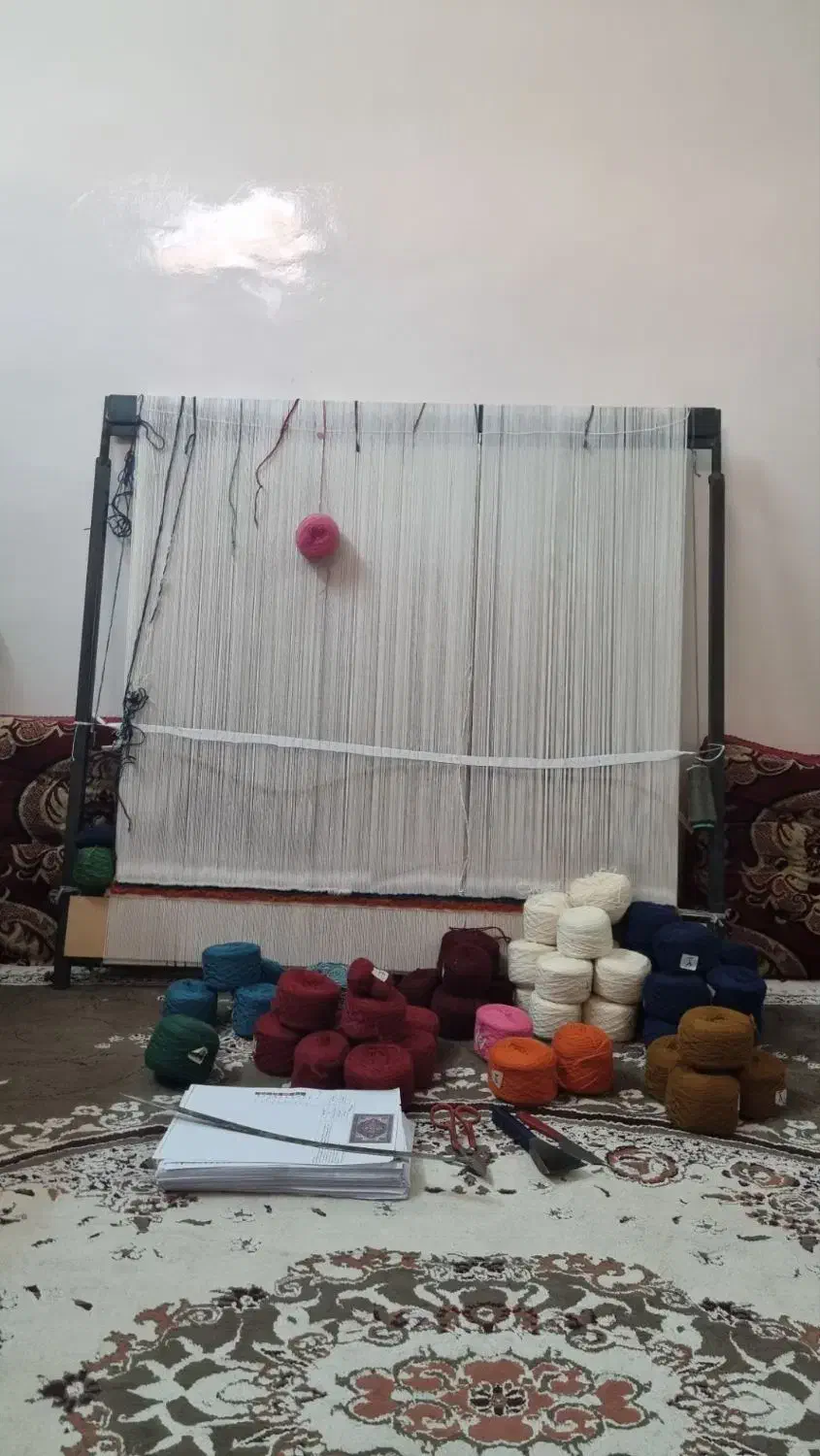 دار قالی نو نو|تابلو فرش|بوشهر, |دیوار