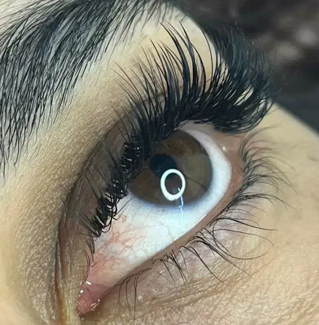 تخفیف اکستنشن مژه به مناسبت افتتاحیه و بلک فرایدی|خدمات آرایشگری و زیبایی|اردبیل, |دیوار