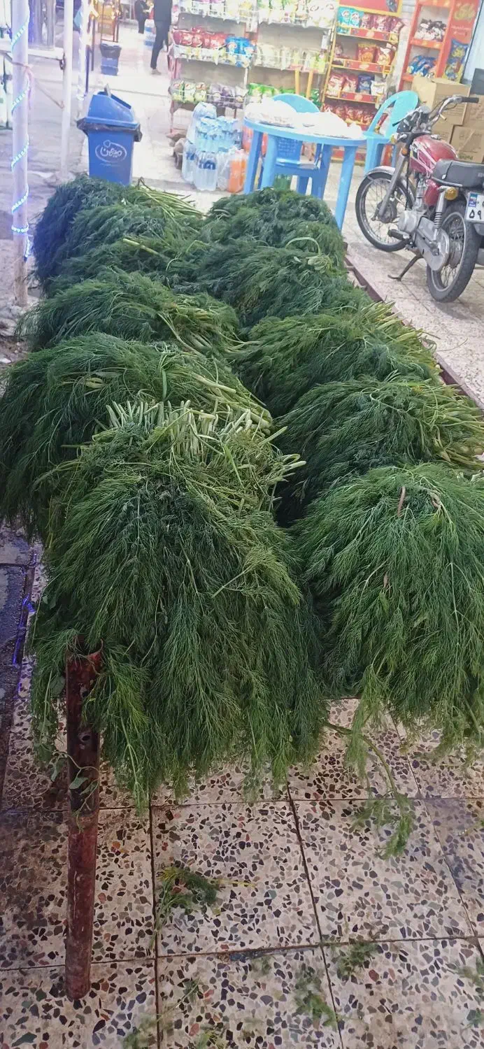 شوید|خوردنی و آشامیدنی|دزفول, |دیوار