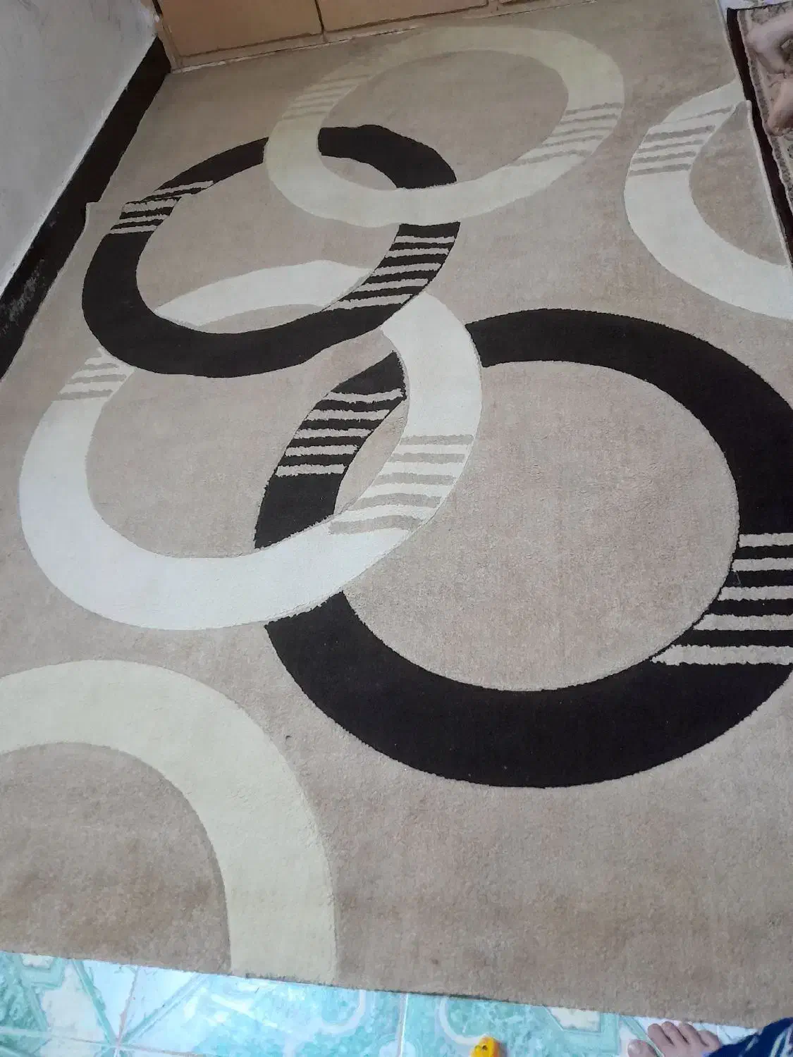 فرش ۶ متری|فرش|بندر امام خمینی, |دیوار