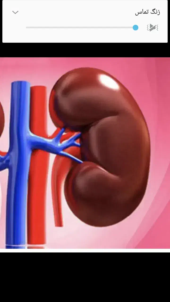 اهدا|فعالیت داوطلبانه|کرج, گلشهر|دیوار