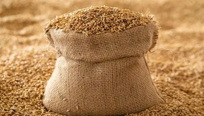 ۱تن و ۸۰۰کیلو گرم|گل و گیاه طبیعی|اقلید, |دیوار