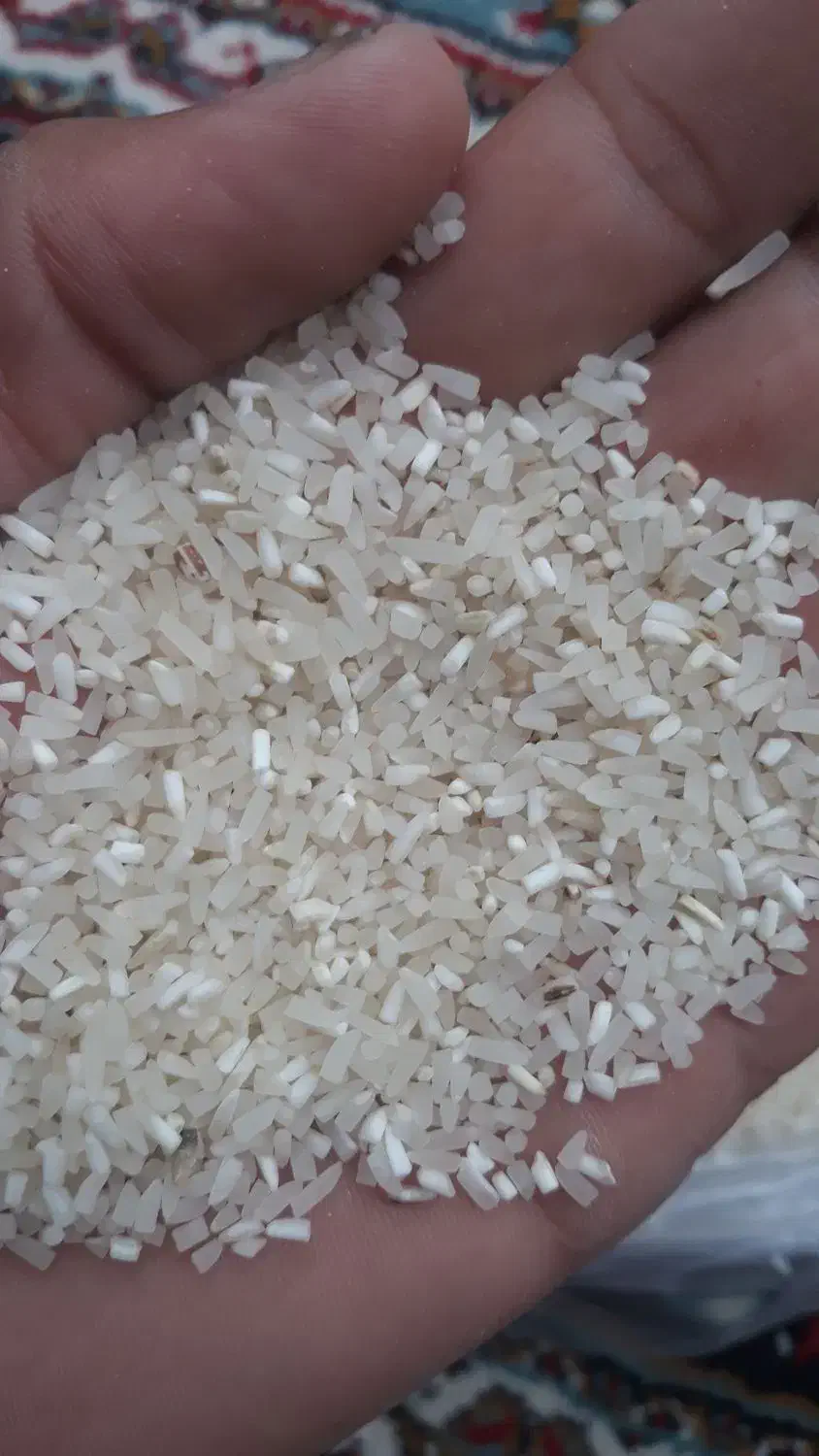 برنج فجر  درجه یک|خوردنی و آشامیدنی|فاضل آباد, |دیوار