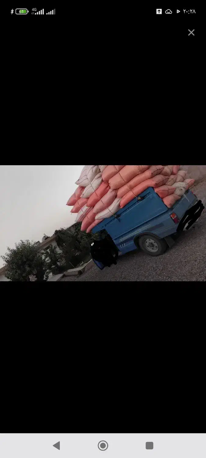 کاه گندم تمیز و درجه 1کیلوی 18500تومان|خدمات باغبانی و درختکاری|چناران, |دیوار