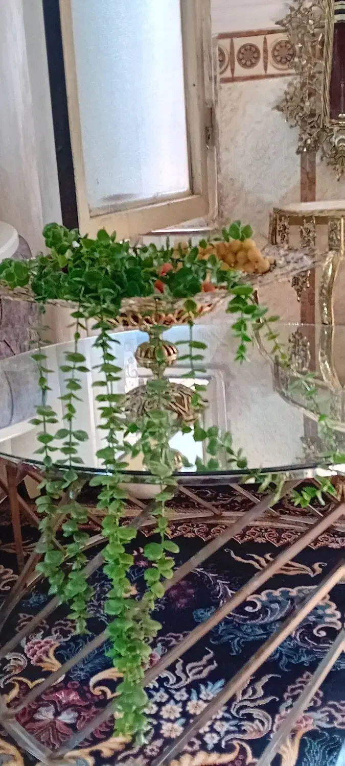 حراج وسایل|حراج|ورامین, ورامین|دیوار