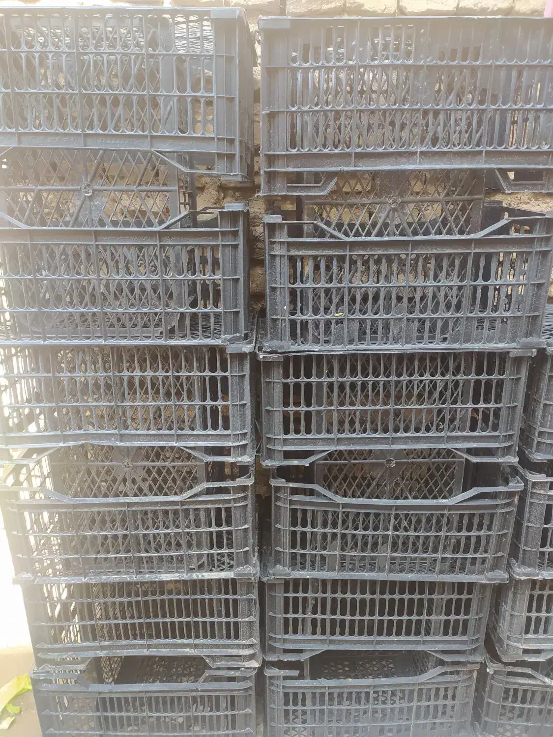 س بد|ظروف نگهدارنده، پلاستیکی، یک‌بارمصرف|دزفول, |دیوار