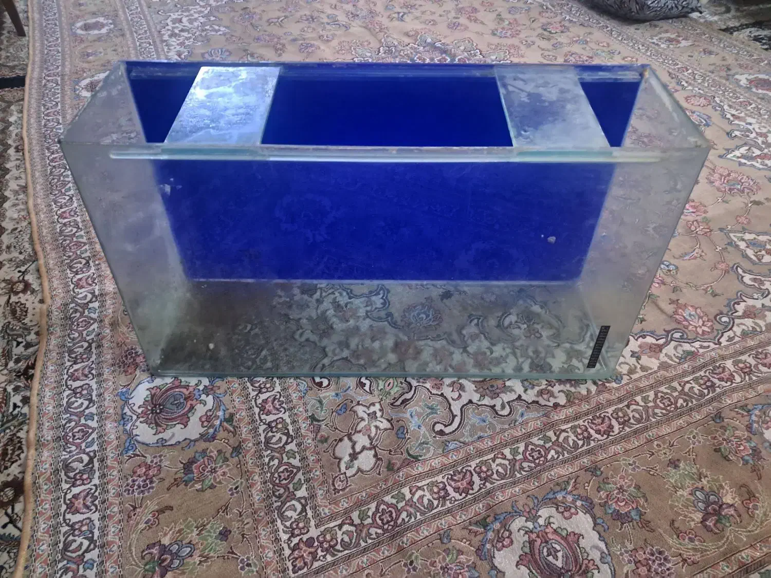 اکواریوم|ماهی|قرچک, مهدیه|دیوار