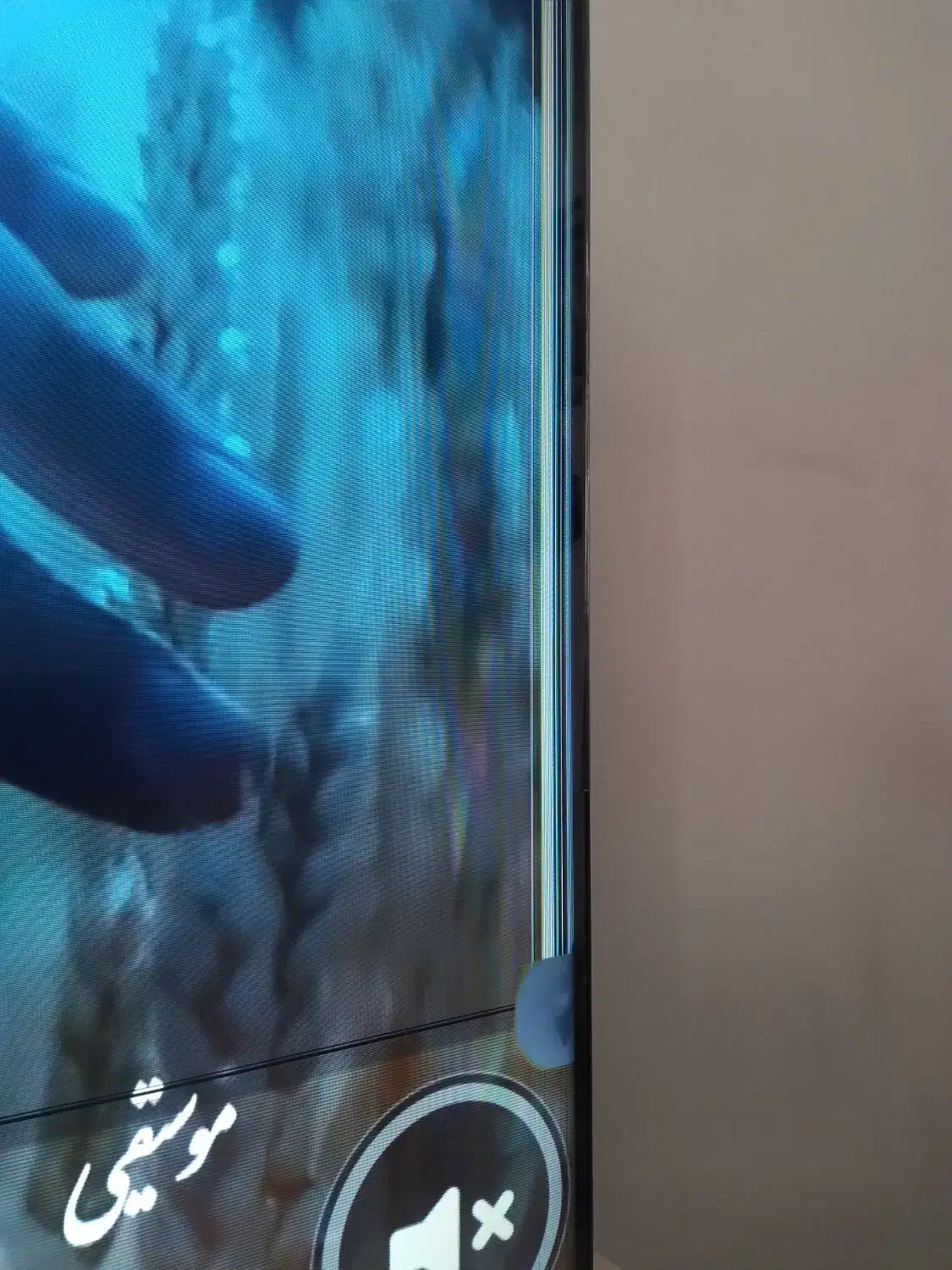 تلویزیون جی پلاس ۵۰ اینچ هوشمند|تلویزیون و پروژکتور|بروجرد, |دیوار