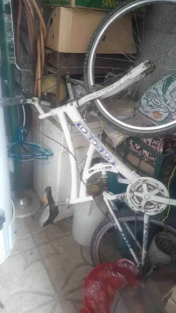 دوچرخه 26|دوچرخه، اسکیت، اسکوتر|چهارباغ, |دیوار