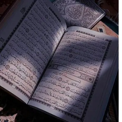 سرکتاب و ...|کتاب و مجله مذهبی|زنجان, |دیوار